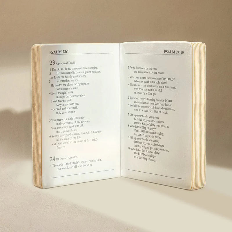 The Holy Bible Squishy Pillow (Huggable Size)